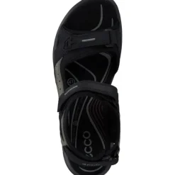 Damen Ecco Sandalen<Offroad 069563, Outdoorsandalen, Damen, Black Mole