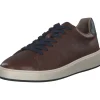 Herren Marco Tozzi Klassische- & Business Schuhe<by Gmk 13601, Klassische- & Business Schuhe, Herren, Braun