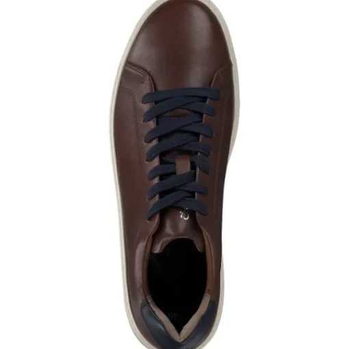 Herren Marco Tozzi Klassische- & Business Schuhe<by Gmk 13601, Klassische- & Business Schuhe, Herren, Braun