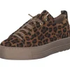Damen Paul Green Klassische- & Business Schuhe<5317-026, Schnürschuhe, Damen, cuoio leo