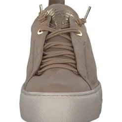 Damen Paul Green Sneakers<5017, Sneakers Low, Damen, Alpaca