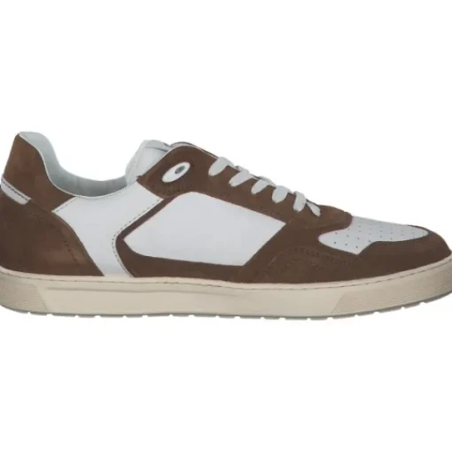 Herren Sioux Klassische- & Business Schuhe<11405 Tedroso-704, Klassische- & Business Schuhe, Herren, teak/snow