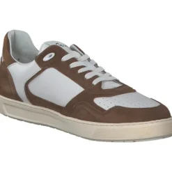 Herren Sioux Klassische- & Business Schuhe<11405 Tedroso-704, Klassische- & Business Schuhe, Herren, teak/snow